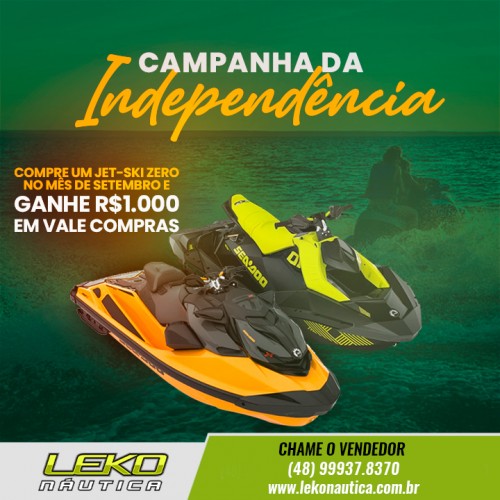 Campanha da Independência