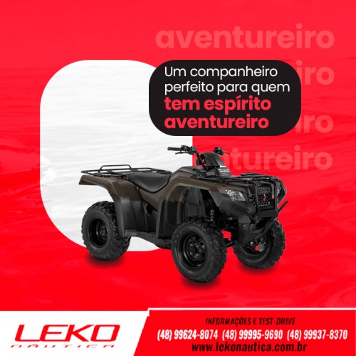 Um companheiro perfeito para quem tem espírito aventureiro